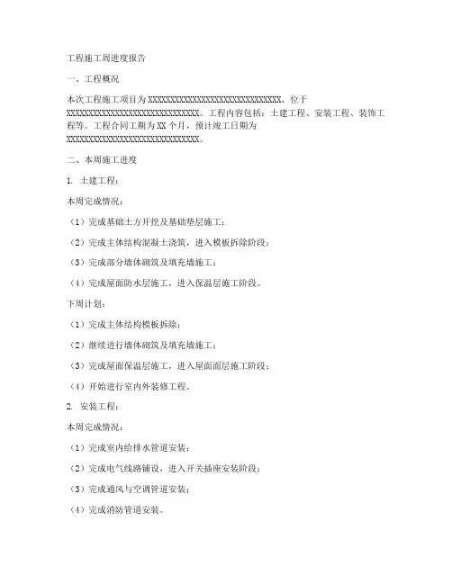 工程施工周进度报告