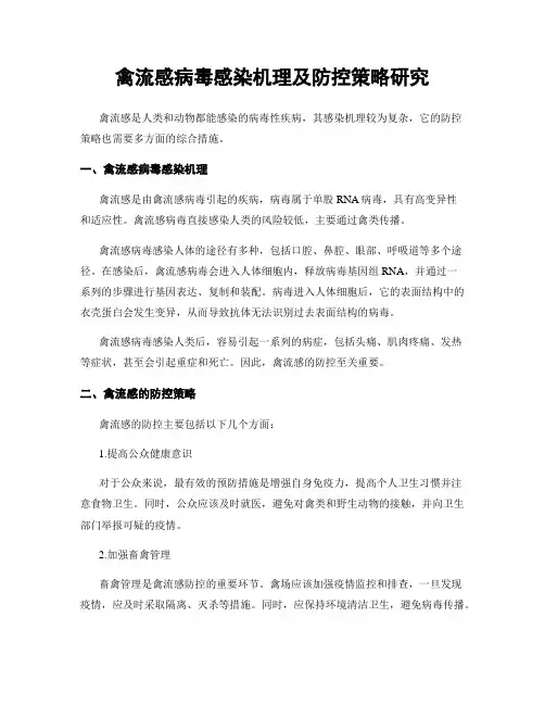 禽流感病毒感染机理及防控策略研究