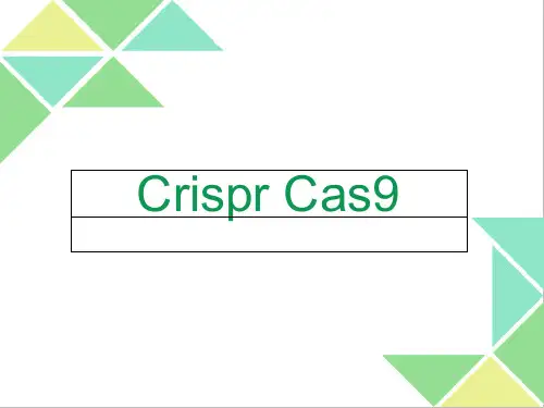 CrisperCas技术介绍 ppt课件