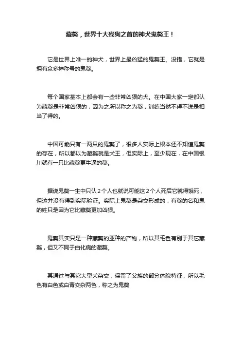 藏獒，世界十大残狗之首的神犬鬼獒王！