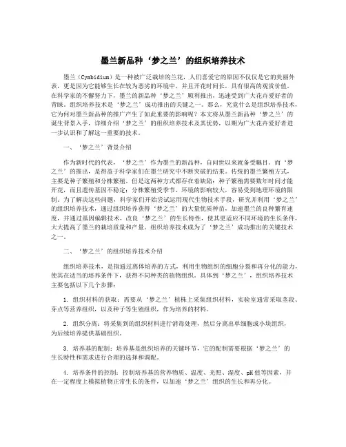 墨兰新品种‘梦之兰’的组织培养技术