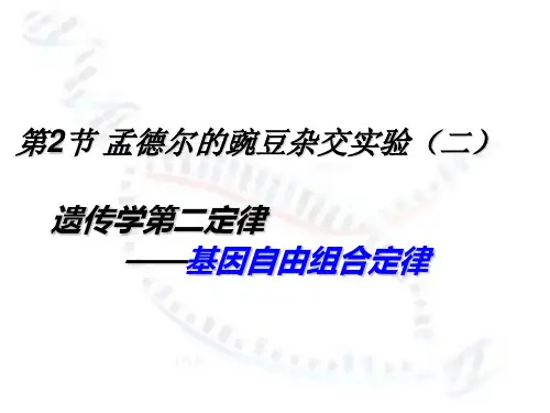 生物必修二1.2《孟德尔的豌豆杂交实验(二)》(共37张PPT)
