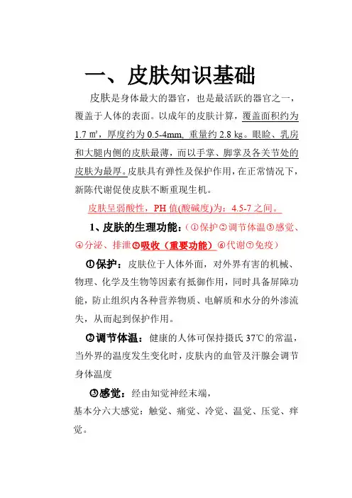 皮肤知识