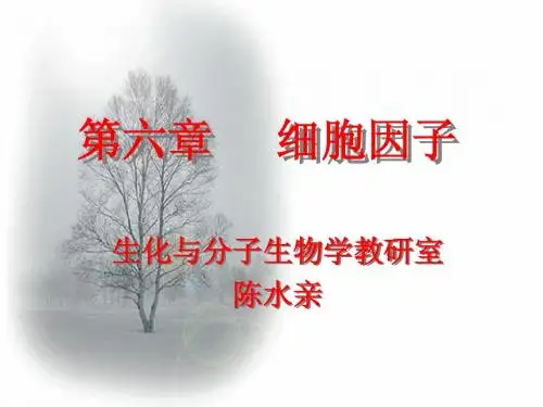 第六章  细胞因子(新)