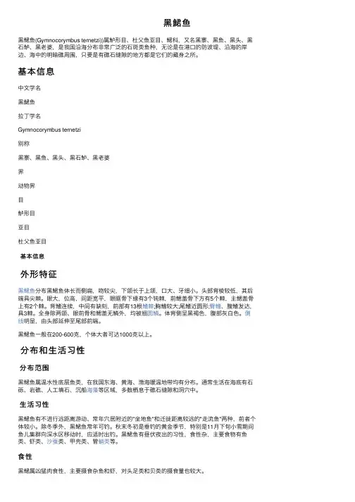 黑鮶鱼——精选推荐