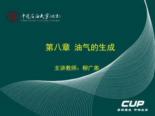 第8章 油气的生成  ppt课件