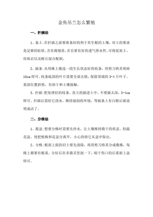 金鱼吊兰怎么繁殖