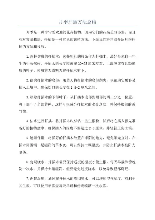 月季扦插方法总结