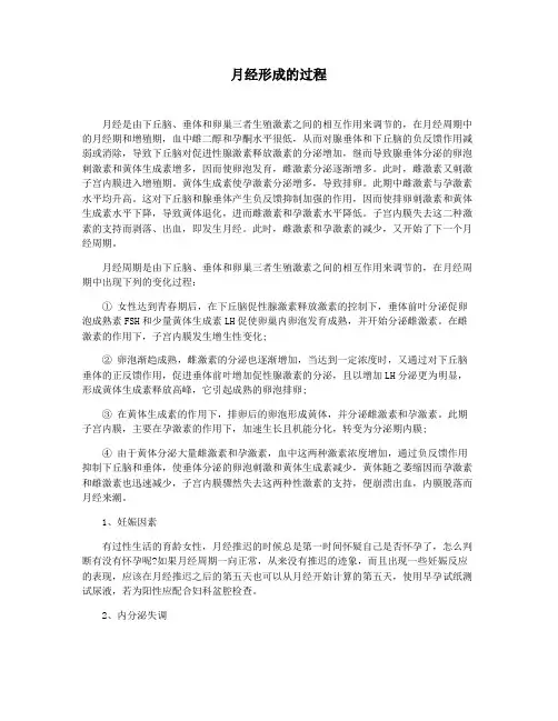 月经形成的过程