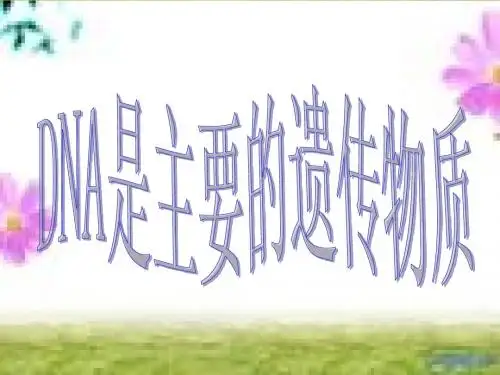 生物：3.1《DNA是主要的遗传物质》课件(新人教版必修2)
