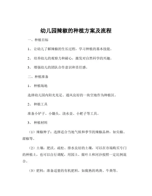 幼儿园辣椒的种植方案及流程