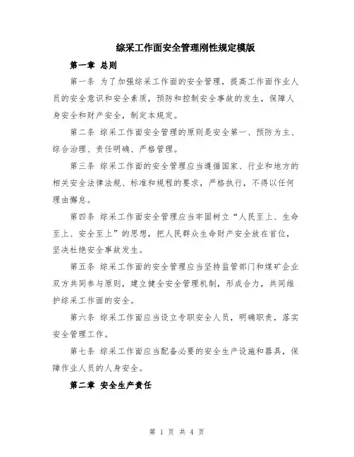 综采工作面安全管理刚性规定模版