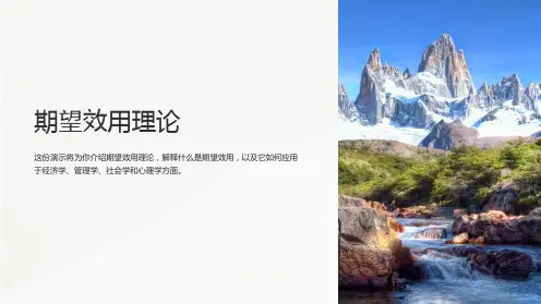 《期望效用理论》课件