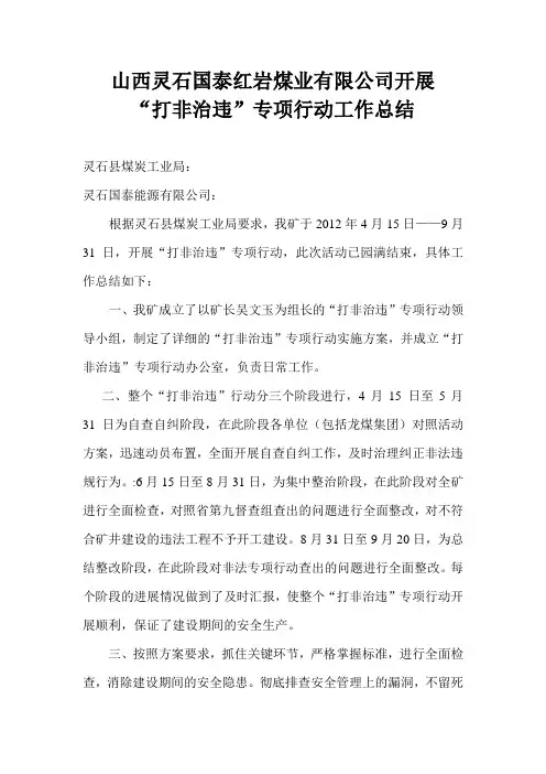 打非治违专项行动工作总结