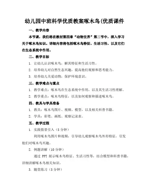 幼儿园中班科学优质教案啄木鸟(优质课件