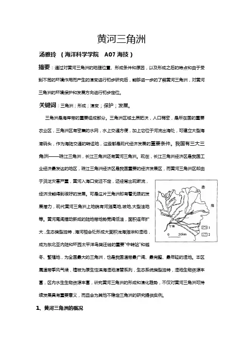 黄河三角洲
