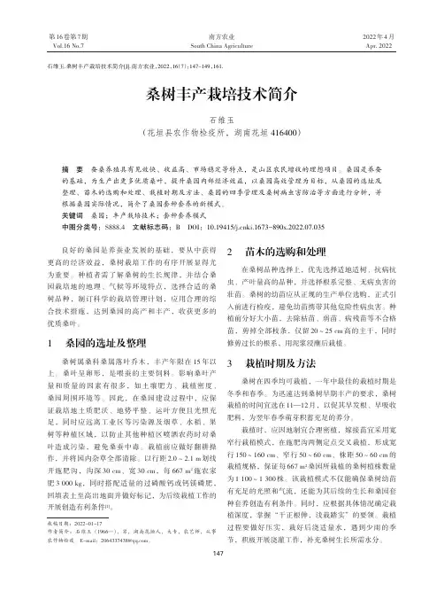 桑树丰产栽培技术简介