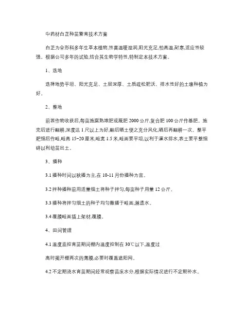 白芷中药材种植管理技术方案