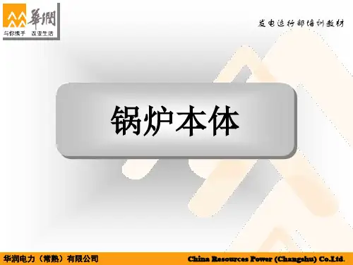 600MW锅炉本体演示解析