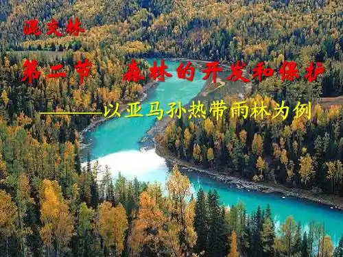 森林的开发和保护
