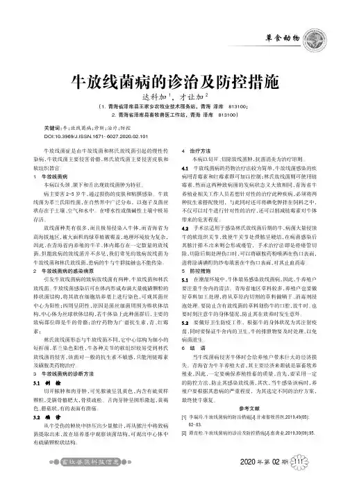 牛放线菌病的诊治及防控措施