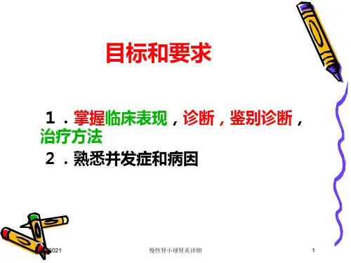 慢性肾小球肾炎详细培训课件