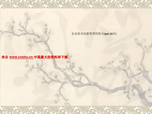 企业技术创新管理的特点(ppt 28页)_9306