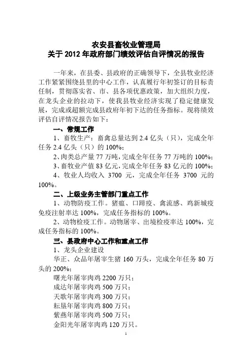 2012年政府部门绩效评估自评报告