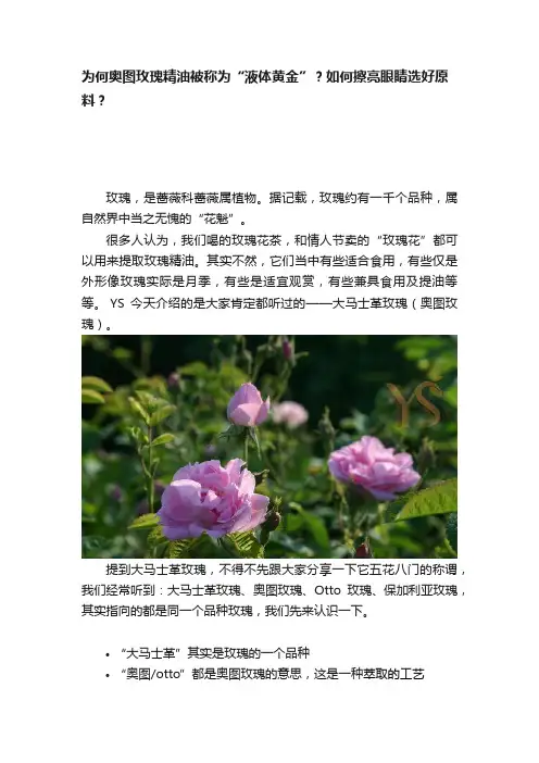 为何奥图玫瑰精油被称为“液体黄金”？如何擦亮眼睛选好原料？