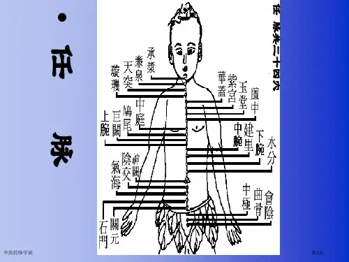 中医经络学说专家讲座