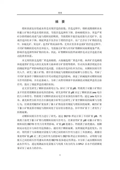 煤泥浮选颗粒间相互作用及对浮选影响研究