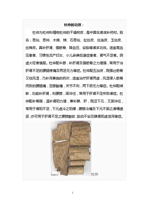 杜仲的功效
