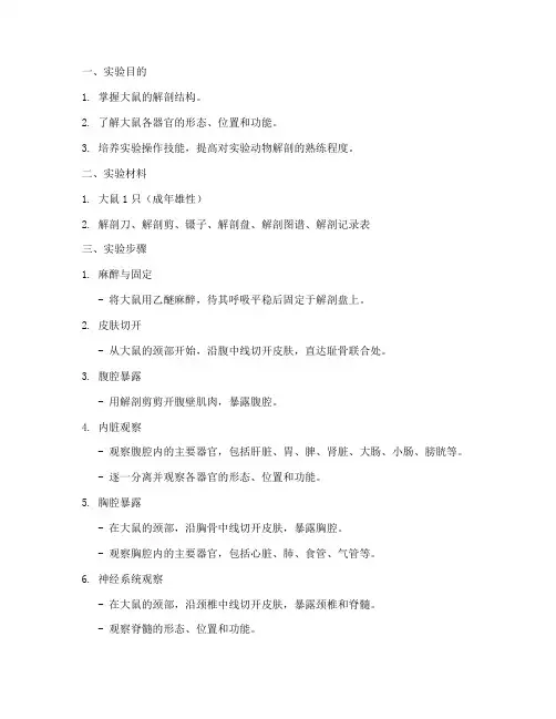 大鼠解剖实验报告