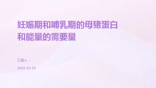 妊娠期和哺乳期的母猪蛋白和能量的需要量