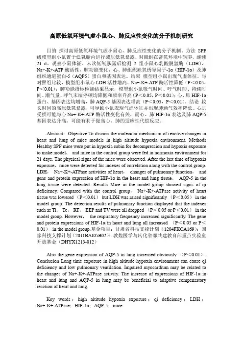 高原低氧环境气虚小鼠心、肺反应性变化的分子机制研究