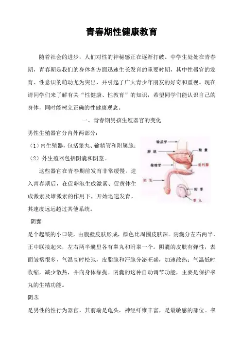 青春期性教育