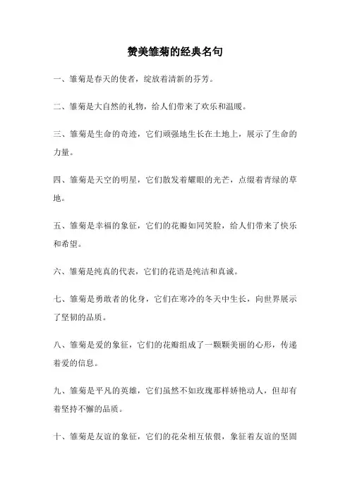 赞美雏菊的经典名句