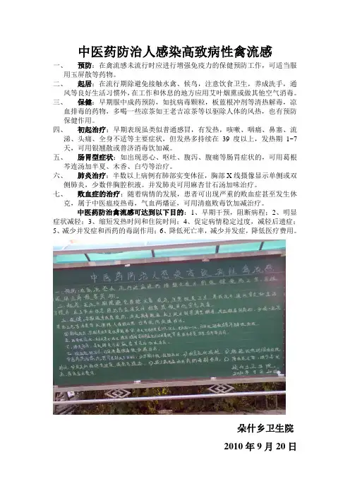 中医药防治人感染高致病性禽流感