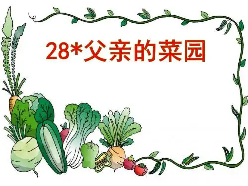 28父亲的菜园