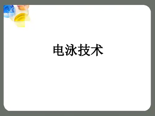 电泳技术-袁汀
