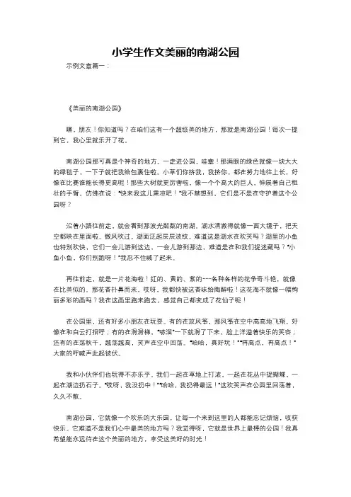 小学生作文美丽的南湖公园