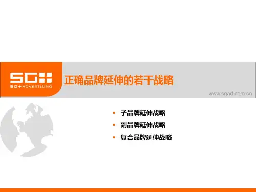 多品牌管理模式幻灯片