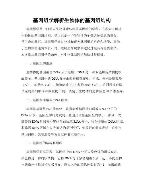基因组学解析生物体的基因组结构