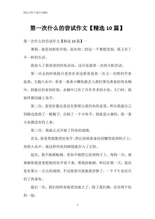 第一次什么的尝试作文【精选10篇】