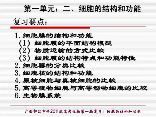 第2讲：细胞的结构和功能