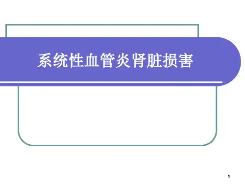 血管炎肾损害PPT参考课件