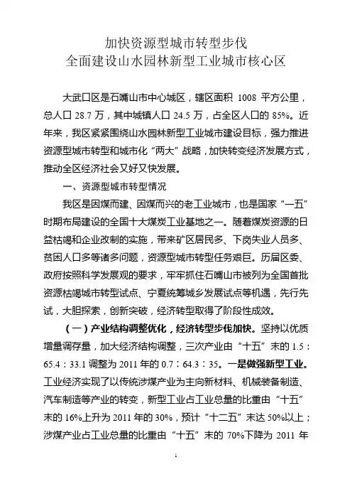 大武口区资源型城市转型情况汇报