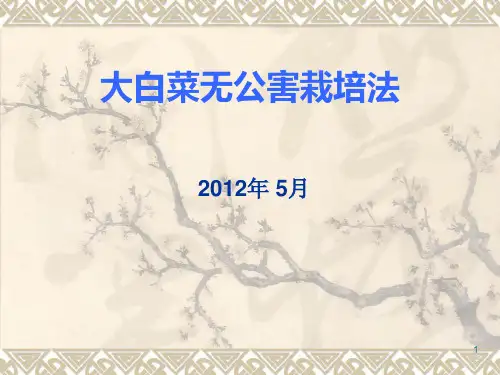 大白菜无公害栽培(教学)PPT课件