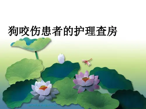 狗咬伤患者的护理查房