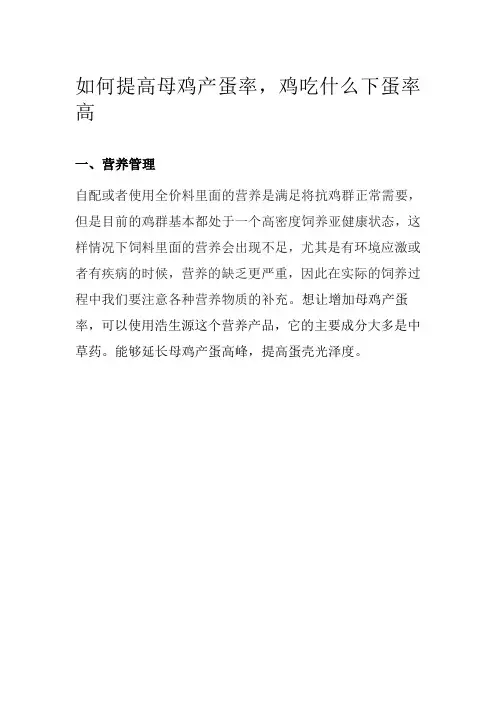 如何提高母鸡产蛋率,鸡吃什么下蛋率高